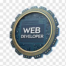 usa custom web development services