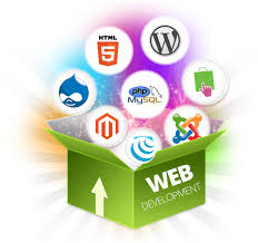 Web Development Services