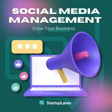 Social Media Management Services USA