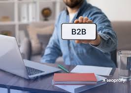 B2B SEO Services USA