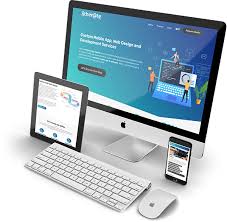 Custom Web Development Services in USA